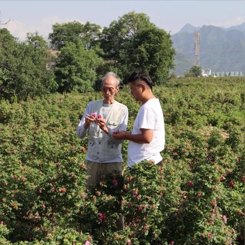 探索四千以内主机搭配电脑的无限可能