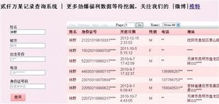 查开房记录软件,查开房记录软件的使用与法律风险