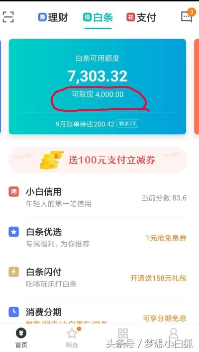 白条套出来的钱怎么还,白条套出来的钱怎么还