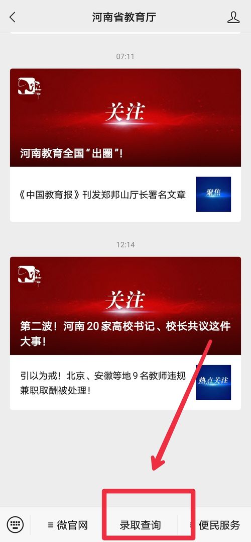 公安查开房记录查询,公安查开房记录查询的流程与注意事项