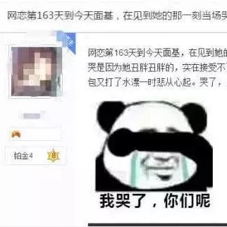 微信红包小程序的消失之谜