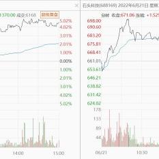 羊小咩2022套现,羊小咩2022套现，深度解析与实例探究