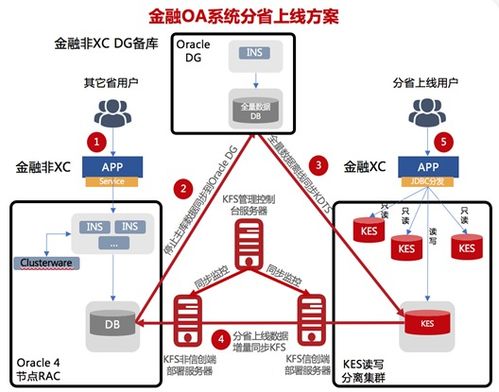 单位如何高效分配电脑系统