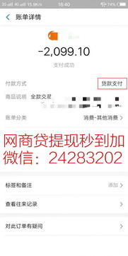 羊小咩5000额度套现流程详解,羊小咩5000额度套现流程详解——警惕风险，切勿触碰法律底线