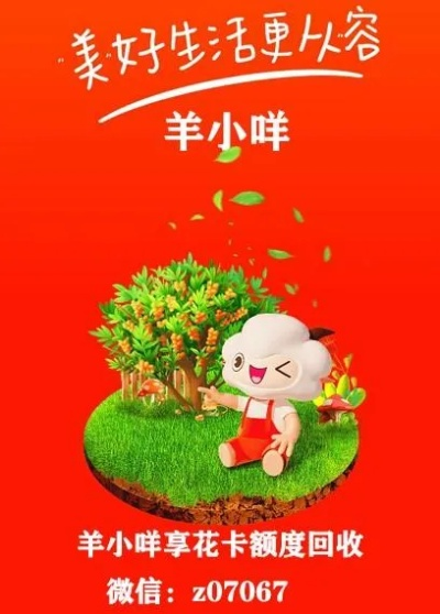 自己羊小咩享花卡取现148元，我的消费与理财之旅