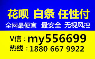 合肥人必看！手把手教你安全套现分期乐攻略